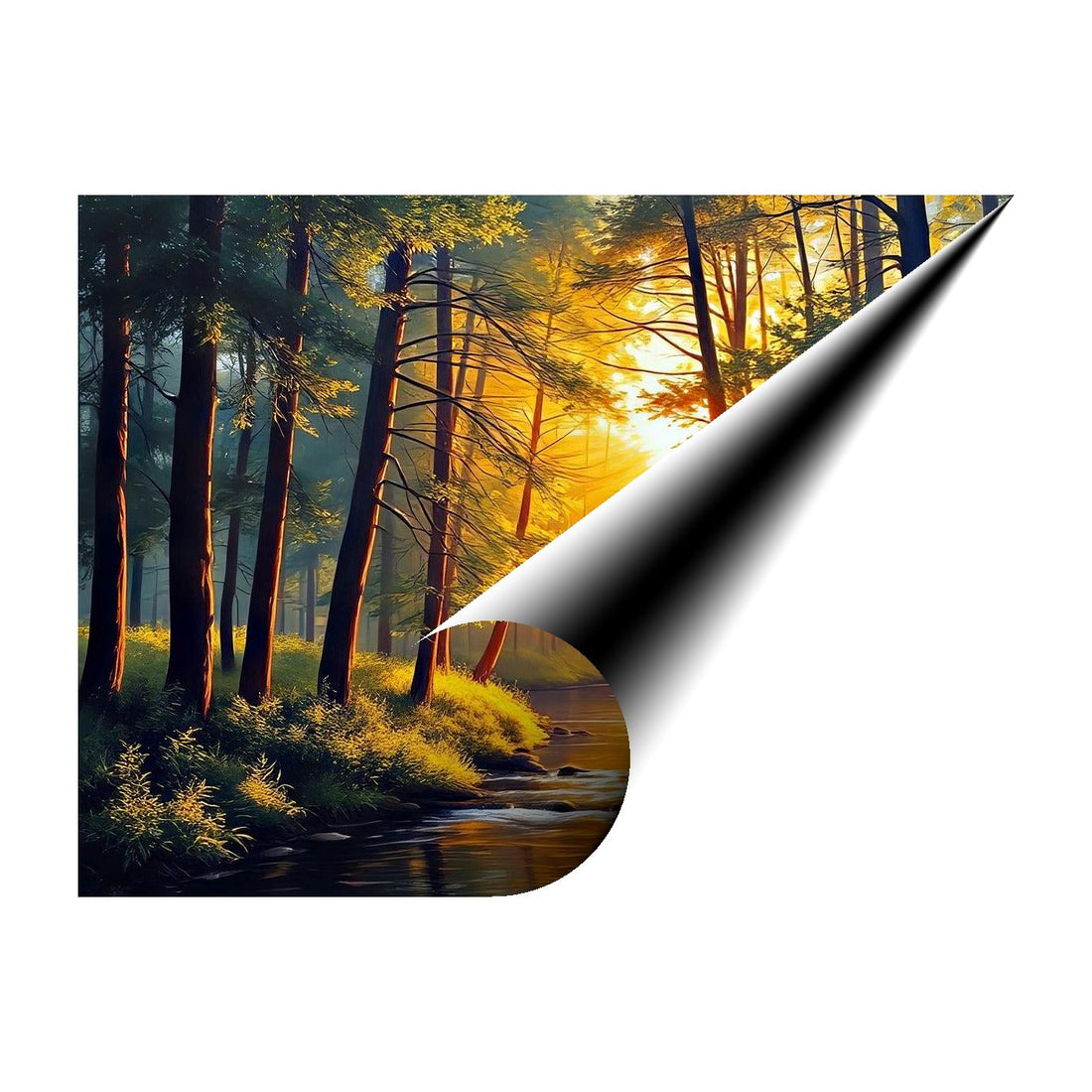 Sunlight Streams Through Nature Art Print 43736 Giclée Rolled Canvas Print Visual Wall Art