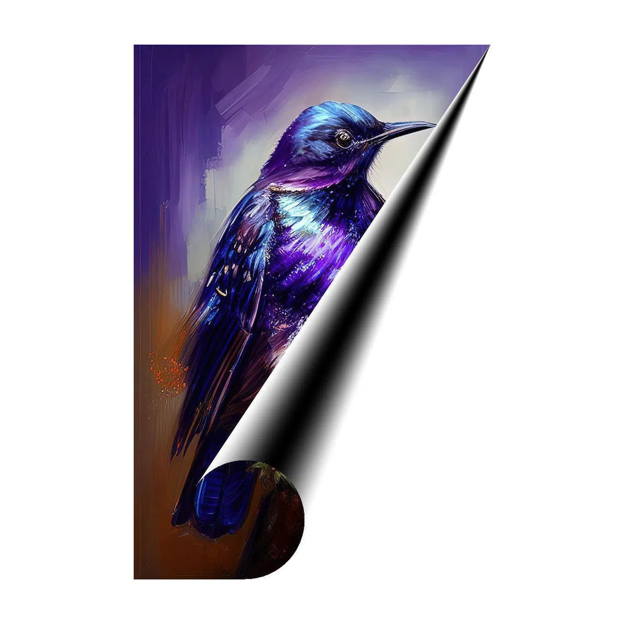 Violet Backed Starling,Cinnyricinclus, Bird Art Print 23301 Giclée Fine Art Matte Paper Print Visual Wall Art